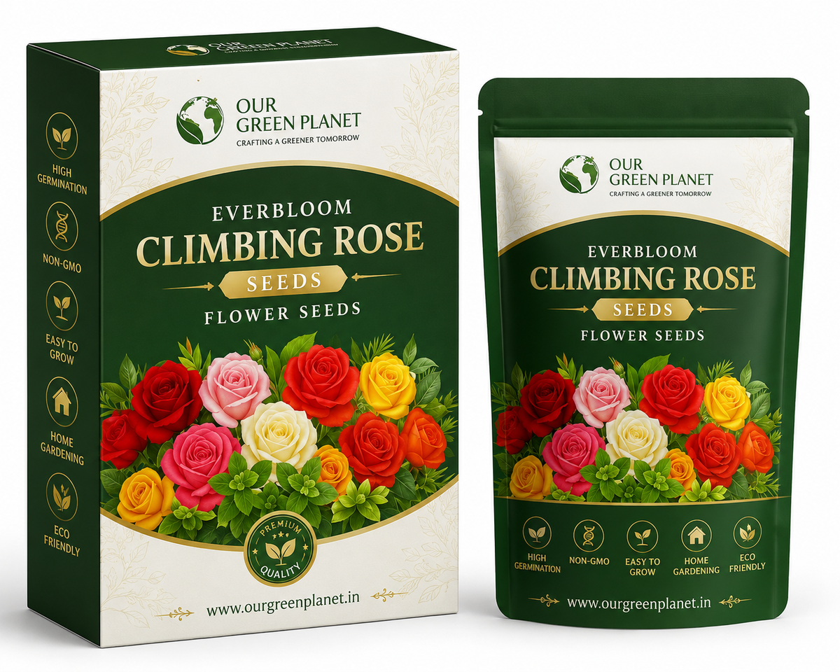 EverBloom Climbing Roses Seeds (PACK OF TWO)