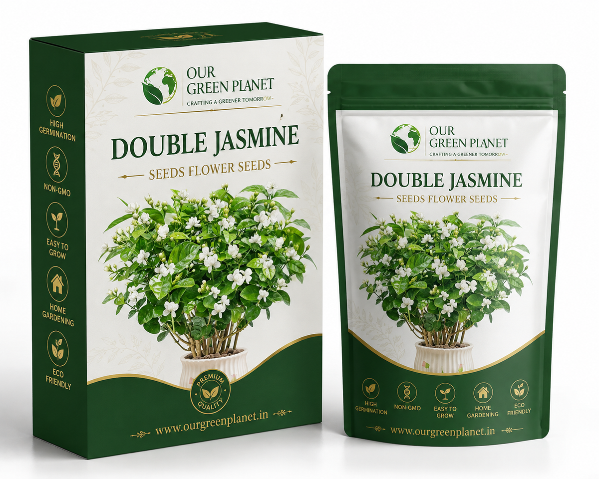 Double Jasmine Seeds ( PACK OF TWO)