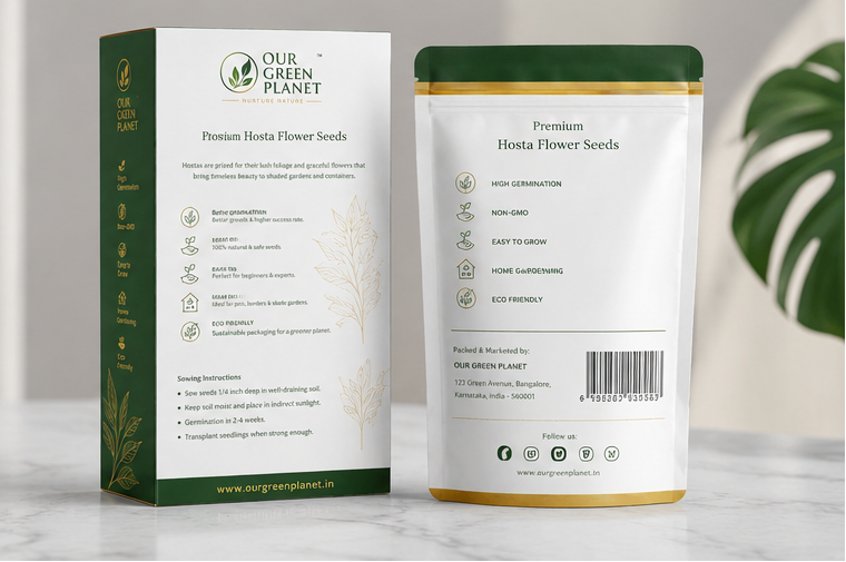 Hosta Seeds Imported (PACK OF TWO)