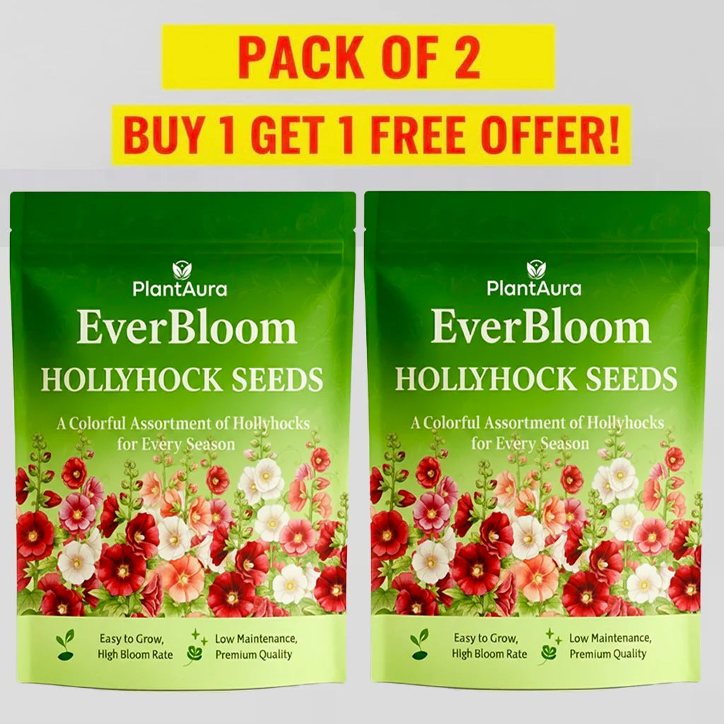 EverBloom Hollyhock Seeds